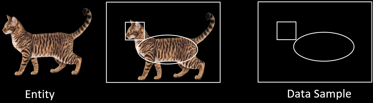 Figure 1: Cat